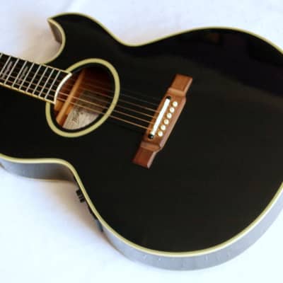 Washburn EA-22 Nuno Bettencourt Platinum Edition 1994 Black