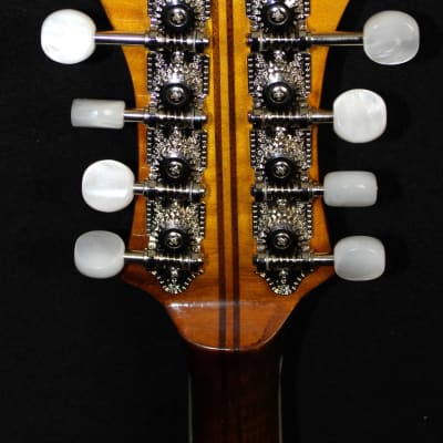 Cross Cross Mandolin F-5 Style, Brand New, Made in U.S.A., Hard Shell Case Included 2021 Light Sunbu image 6