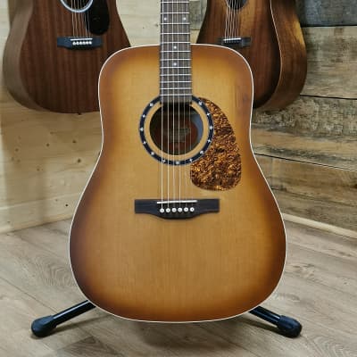Norman Protege B-18 Dreadnought - Rosewood Fingerboard, Tobacco Burst for sale