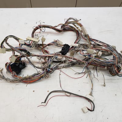 Moog Polymoog Synthesizer 203a Wiring Harness