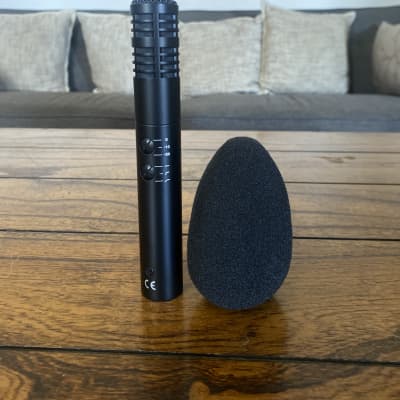 Sennheiser e914 Condenser Supercardioid Small Diaphragm Condenser Microphone image 5