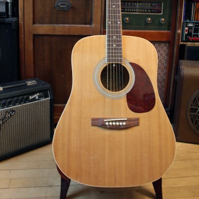 Burswood JW-41F Acoustic Guitar Starter Set w/Gig Bag and Lessons for sale