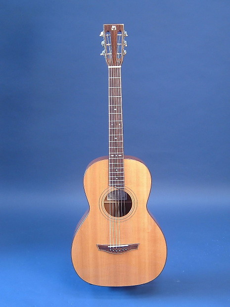 Bil shop mitchell guitars