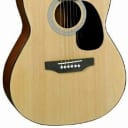 J. Reynolds JR45 39" Concert Size Acoustic Guitar
