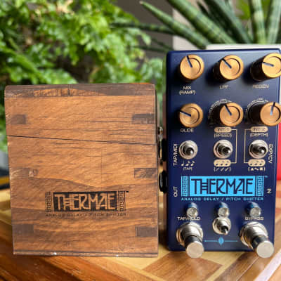 Chase Bliss Audio Thermae Analog Delay/Harmonizer