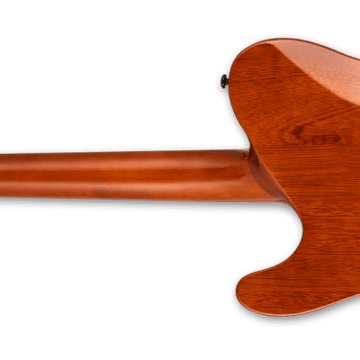 ESP LTD TE-1000 Evertune Koa Natural Gloss Electric Guitar image 2
