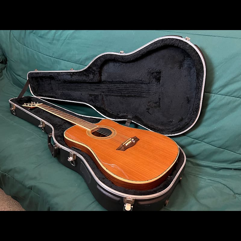 Washburn WDFLB26SCE B-Bender Acoustic Guitar With Hardshell | Reverb