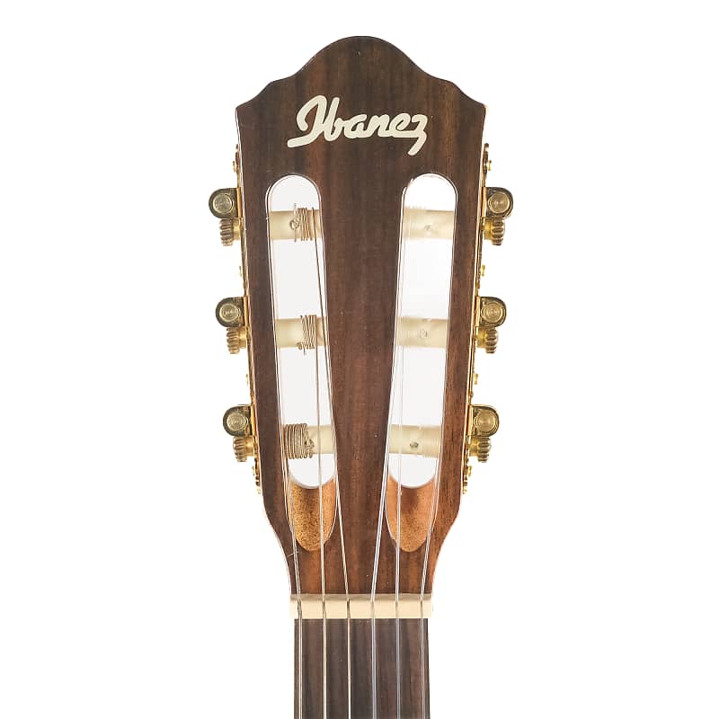 Ibanez AEG10NII-NT-3R-02 Owned by Kiko Loureiro | Reverb