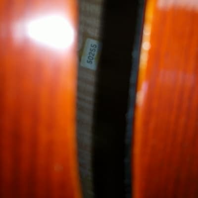 Eastman VC605 Professional 4/4 Cello 2007 image 6