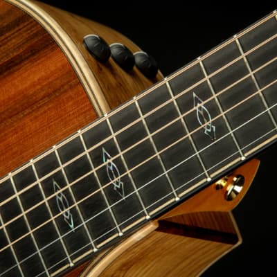 Taylor Custom GC - Sinker Redwood/Honduran Rosewood image 9