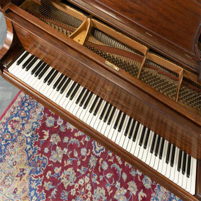 Steinway & Sons Model O Grand Piano | Walnut | SN: 164559 image 4