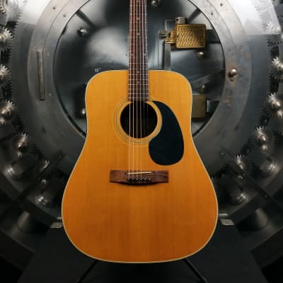 Dorado Model 5990 Acoustic Guitar w/ Wayfinder Gig Bag for sale