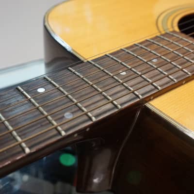 Fender F-210 Acoustic Guitar 80-90s image 20