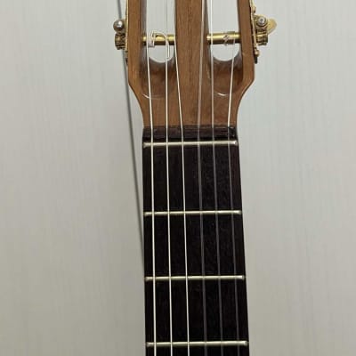 Höfner mod. 485 Vienna early 1960s nylon strings classical guitar image 9
