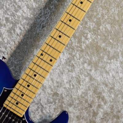 Fujigen/FGN BIL2-M-HS-TBS 2022 Transparent Blue Sunburst 3.68kg  #J220085［Made In Japan］［YK012］