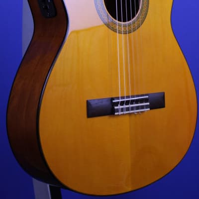 Yamaha CGX102 Classical Guitar image 5