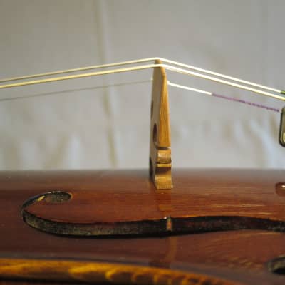 Vintage Karl Höfner Violin, 4/4, Germany, c. 1960s - Stunningly