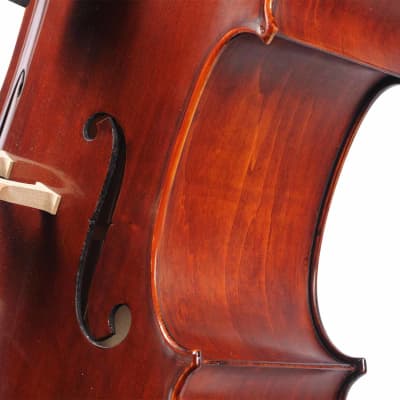 Eastman Strings 4/4 VC95 Cello Outfit USED image 9