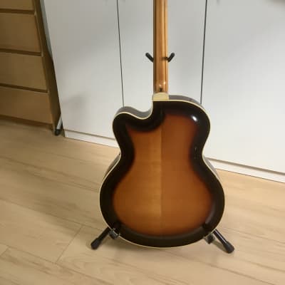 Roger Model 50E Cutaway c1955 Sunburst with 1950s tolex cover and photo copy brochure New Price Drop image 8