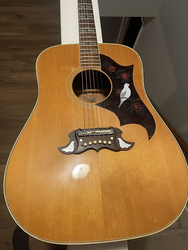 Alvarez Dove 5024 70’s | Reverb