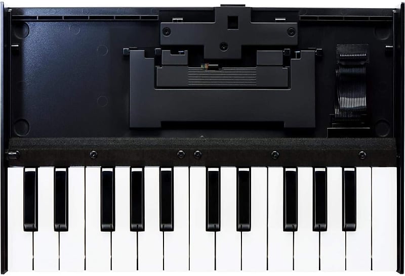 Roland K-25M Boutique Module Dock USB MIDI Keyboard, 12-Inch image 1