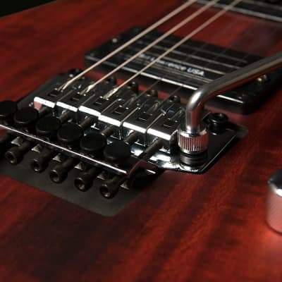 Washburn NUNO BETTENCOURT N24-NUNO VINTAGE PADAUK Electric Guitar, N24PSVINTAGEK image 3