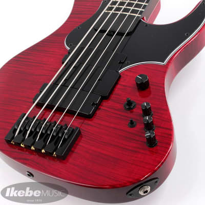 ESP AMAZE-5-190 [IKUO Signature Model] -Made in Japan- | Reverb