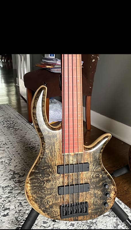 Elrick Gold Series e-Volution 5-string Fretless Bass Guitar