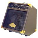 Washburn WA20 Superior 12W Acoustic Guitar Amplifier - Brown