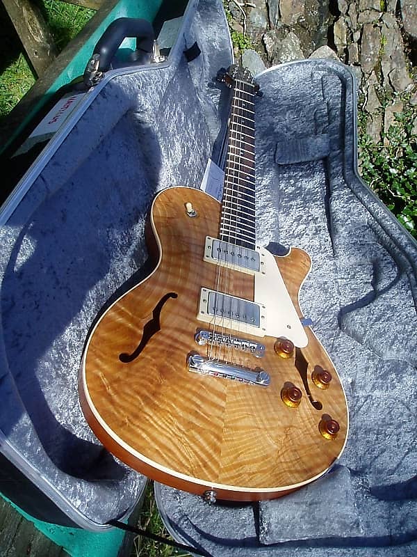 Seth Baccus - Baccus Nautilus Hollow body Special Reserve No.5 Re-listed  due to none payment | Reverb UK