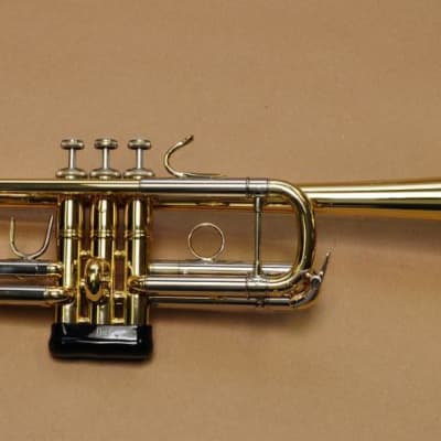 Vincent Back C180ML229G B.Malone Conversion C Trumpet | Reverb
