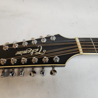 Takamine NPT110-12 Black/Grey | Reverb