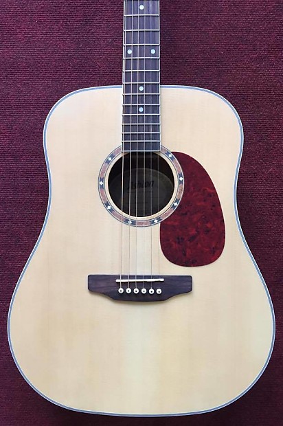 Ashton d25 acoustic guitar price hotsell