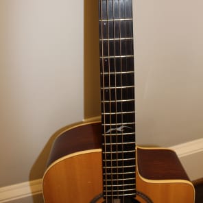Seagull Artist Studio CW Duet II - Solid Indian Rosewood Back & Sides image 10