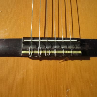 Giannini AWN 300 Classical Guitar, 1970's, Brazil, Rosewood, Very Ornate, Case image 5