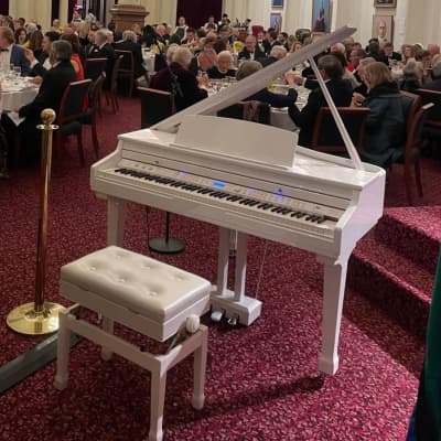 ORLA – GRAND 12O Digital Piano - White (LOCAL DELIVERY AVAILABLE, CONTACT US)! image 10