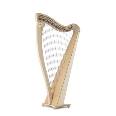 Lyon & Healy Drake Lever Harp Natural