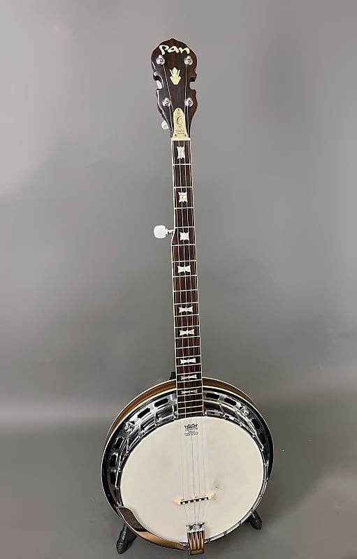 Pan 5 String Banjo image 1