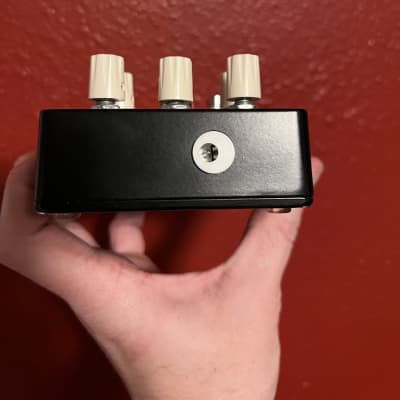 Dirty haggard Torsion Black case image 2
