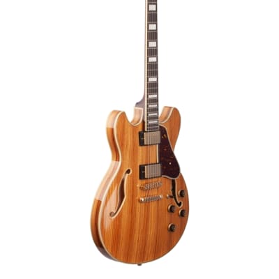 Ibanez Artcore Expressionist AS93ZW Semi-Hollowbody Natural image 8