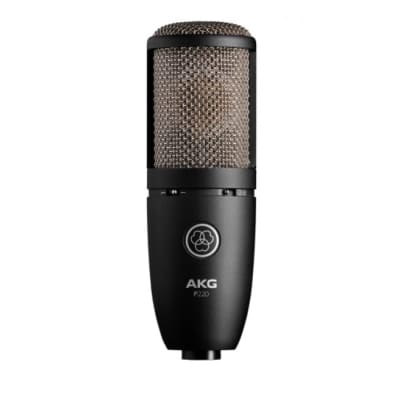 AKG P220 Condenser Microphone Studio Large Diaphragm True Condenser Mic image 1