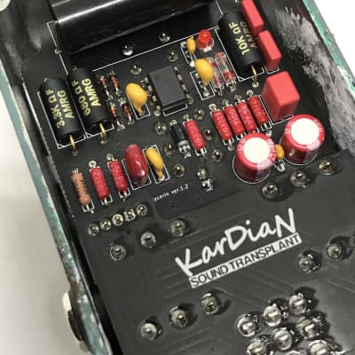 ギター KarDiaN C3H5N309 ADD CBF KarDiaN ( カージアン ) NITROGLYCERIN 