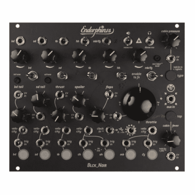 Make Noise Phonogene Module | Reverb