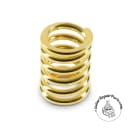 Bigsby 0495-1975G Replacement Spring 1" inch - Gold