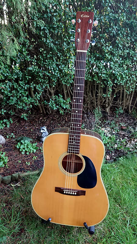 Takamine Elite TW-20 Acoustic 1975 Vintage Japan Spruce Top