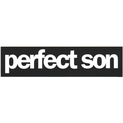 Perfect Son - Cast Ltd Ed RARE New Sticker! Ryan Bingham Hayes Carll Gary Clark Jr Robert Ellis for sale