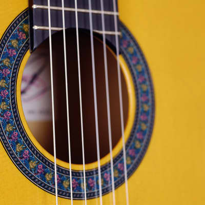Amalio Burguet 1F flamenco guitar 2021 nitro finish - video! imagen 8