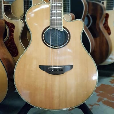 YAMAHA APX1000 NT｜ミュージックランドKEY
