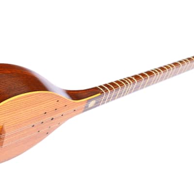 Professional Persian Setar String Musical Instrument KS-405 image 4