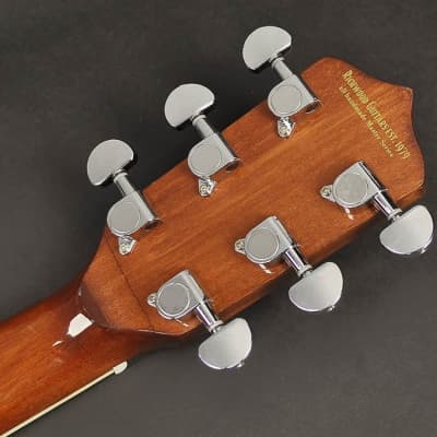 Richwood RMB-606 Gitarren-Banjo image 5